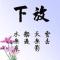 谁是谁的谁