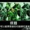 雾中游客