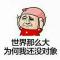 会痛的石头