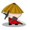 王SIR