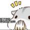 磊。