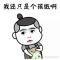 赵小样er