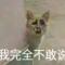 黎明的祈祷