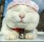 懒懒猫