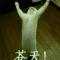 迷失
