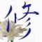 【圣丶礼】