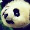 yunfuyue15