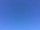 春甫