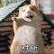 娶婵娥炖玉兔