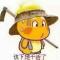 过客