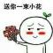 一天天的一天