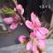 kiki