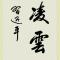 苍穹一飞