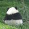 迷迷糊糊