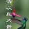 Aa门窗及幕墙工程