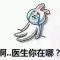 择一城终老