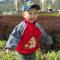 jingtianwang