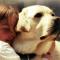 米乐