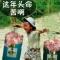 一个好人