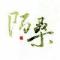 wuliROB