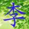 黑面郎君