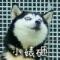 忆思前. 미래와 마주하다