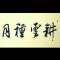 仰望星空