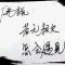 沉默的孤鱼