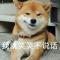 惜哉奉孝
