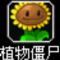 贝贝