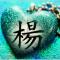 鑫诺贝贝