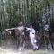 毛毛雨