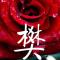 志宏