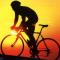 Dream  rider