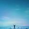 梦里梦外