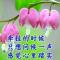 今生有缘我等待你@