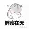 无悔后摇