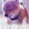 伱偌侒䒵