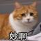 我的远方