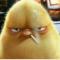 JONH