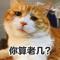 孙良伟