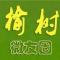 榆树