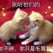 爱恋红尘