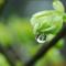 小楼听雨