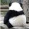 我就是我