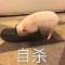 麦兜猪