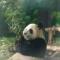丧无望