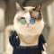 指挥官小猫