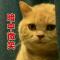 暗中微笑