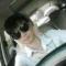 Arvin